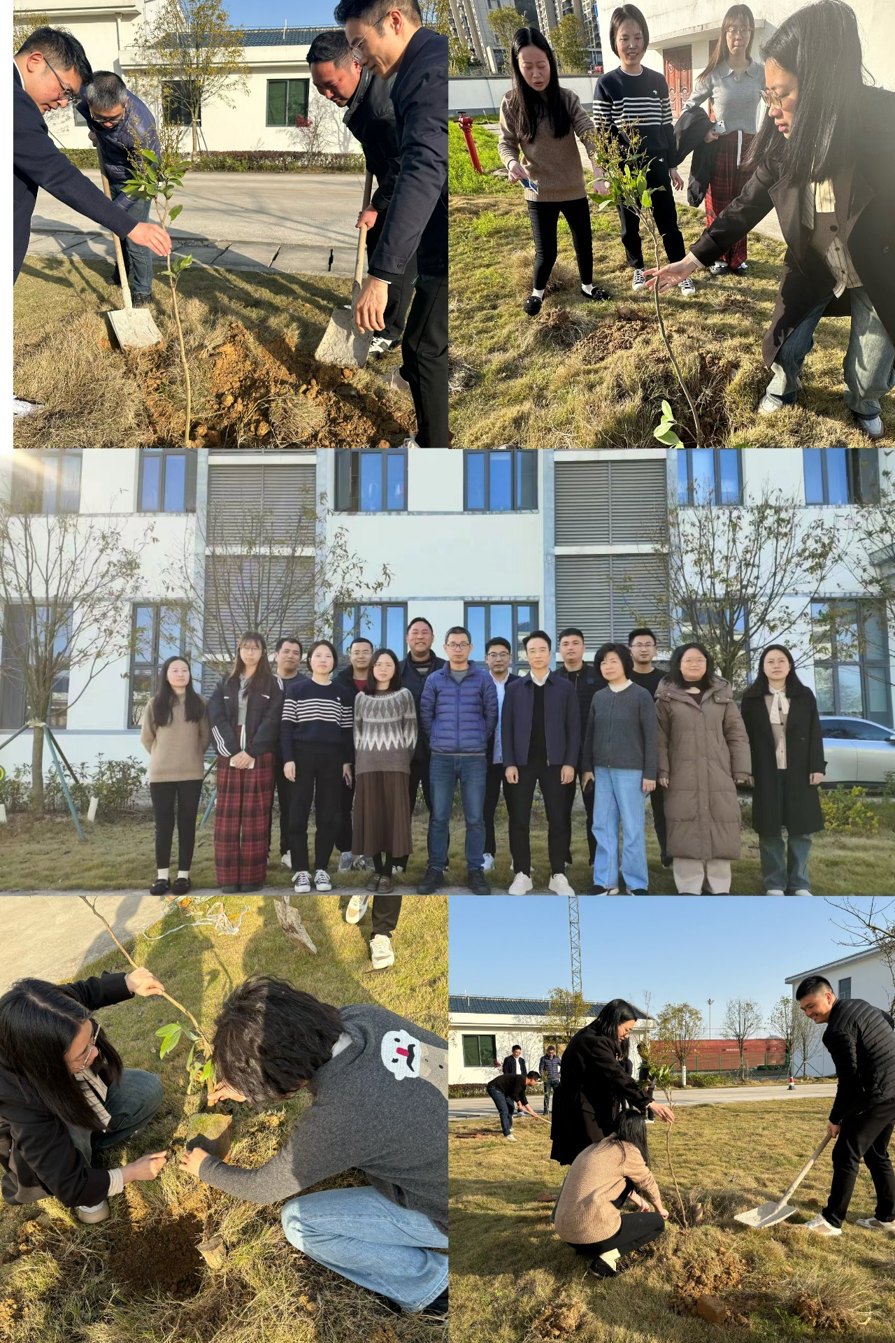 2024-3-12綠色陸港，美麗寧德，阮克妙拍攝.jpg